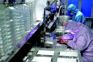 甘肃平凉 智能光电车间里的品质守护者